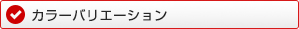 カラーバリエーション